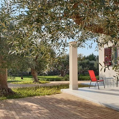 Tra Gli Ulivi Villa Putignano Exteriör bild