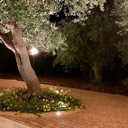 Tra Gli Ulivi Villa Putignano Exteriör bild