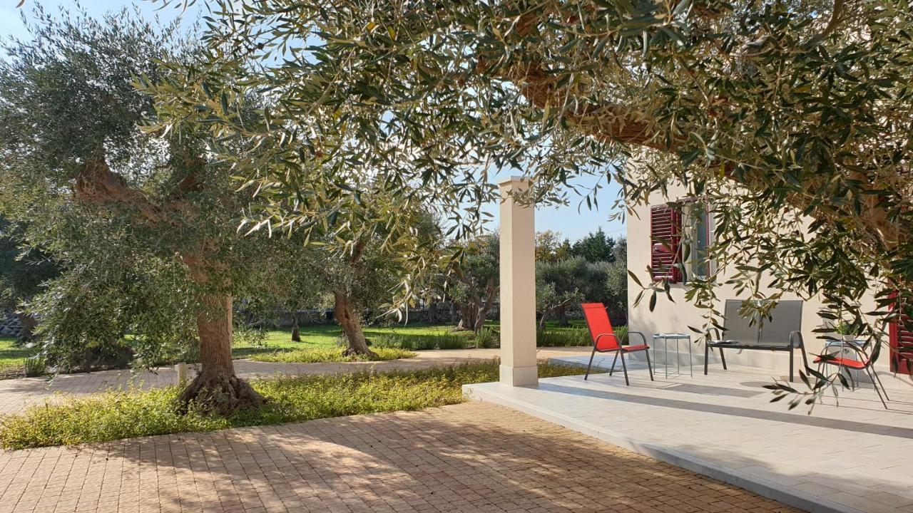 Tra Gli Ulivi Villa Putignano Exteriör bild