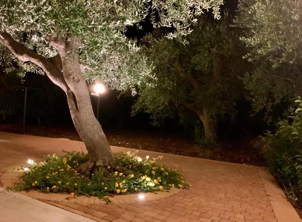 Tra Gli Ulivi Villa Putignano Exteriör bild